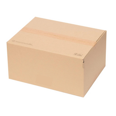 E6 Single Walled Cardboard Box - fits 90% of all 2 slice toasters, juicers, Xbox and many other retail items (PACK OF 50)