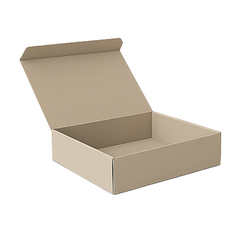 Peel & Seal Rigid Envelope