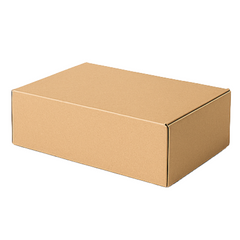 Kraft Shipping Carton