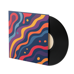 Vinyl Record Sleeve with Gloss Print
