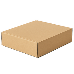 Biodegradable Kraft Mailer Box