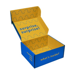 Multicolored Printed Subscription Box with Inner Print