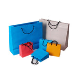 Carry Bags - Pack of 100 Bags