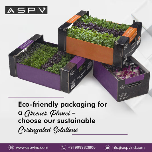 Creative Ways to Recycle Corrugated Boxes and Sustainable Alternatives