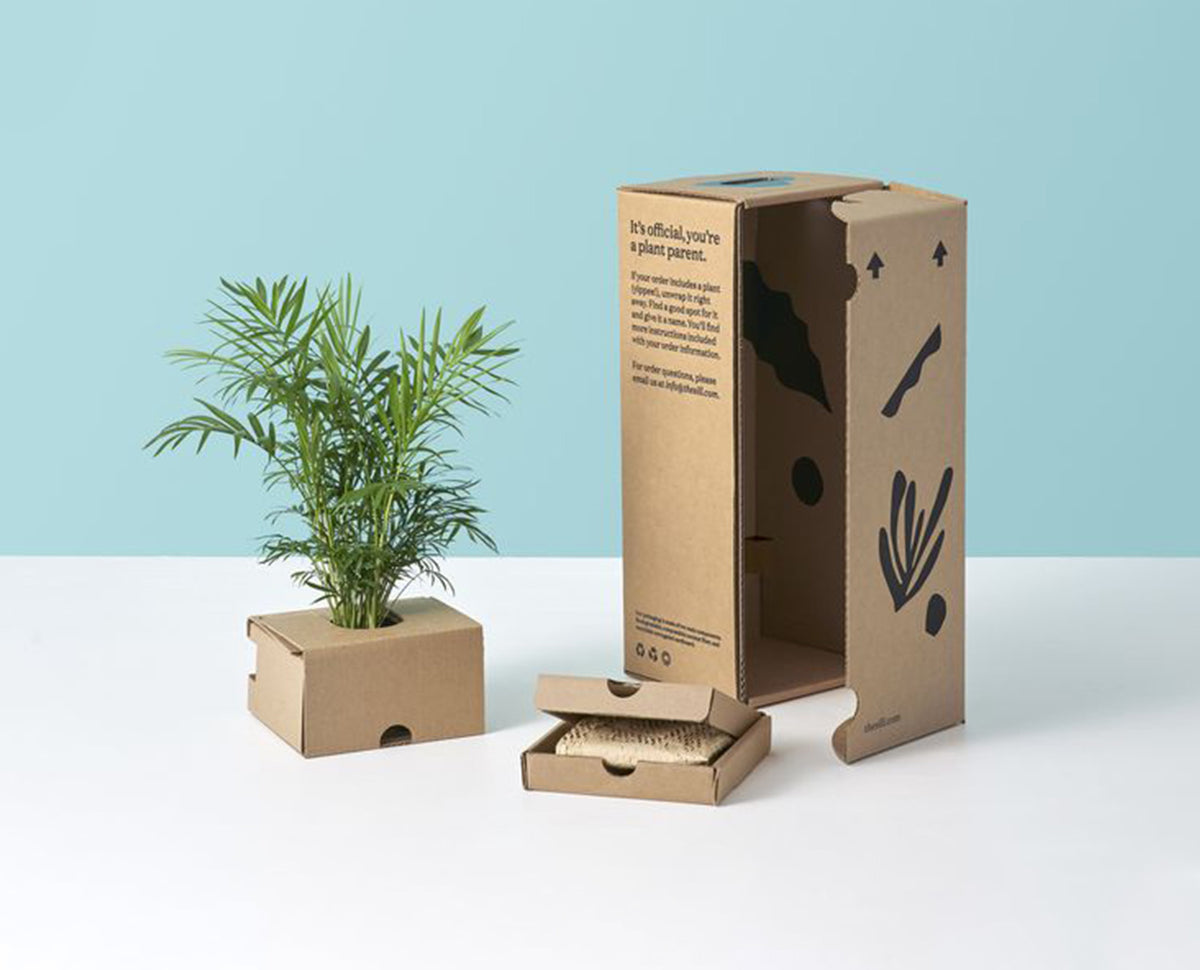 Container Plan Packing Building a Greener Future: Packeazy’s Role in Promoting Sustainable Pr