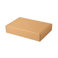 Peel & Seal Kraft Mailer