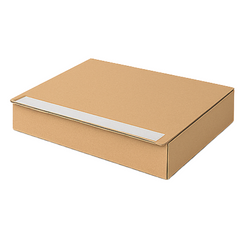 Peel & Seal Clothing Mailer