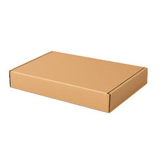 Slim Postal Mailer Box