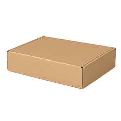 Budget Kraft Mailer Box